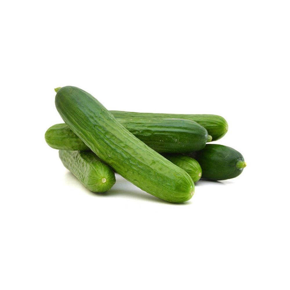 Cucumber Ashley Seeds