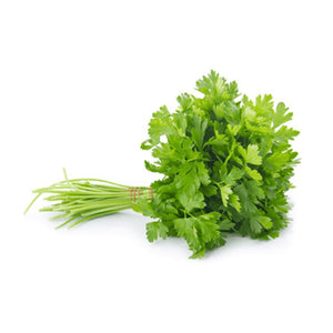 Coriander - Organic