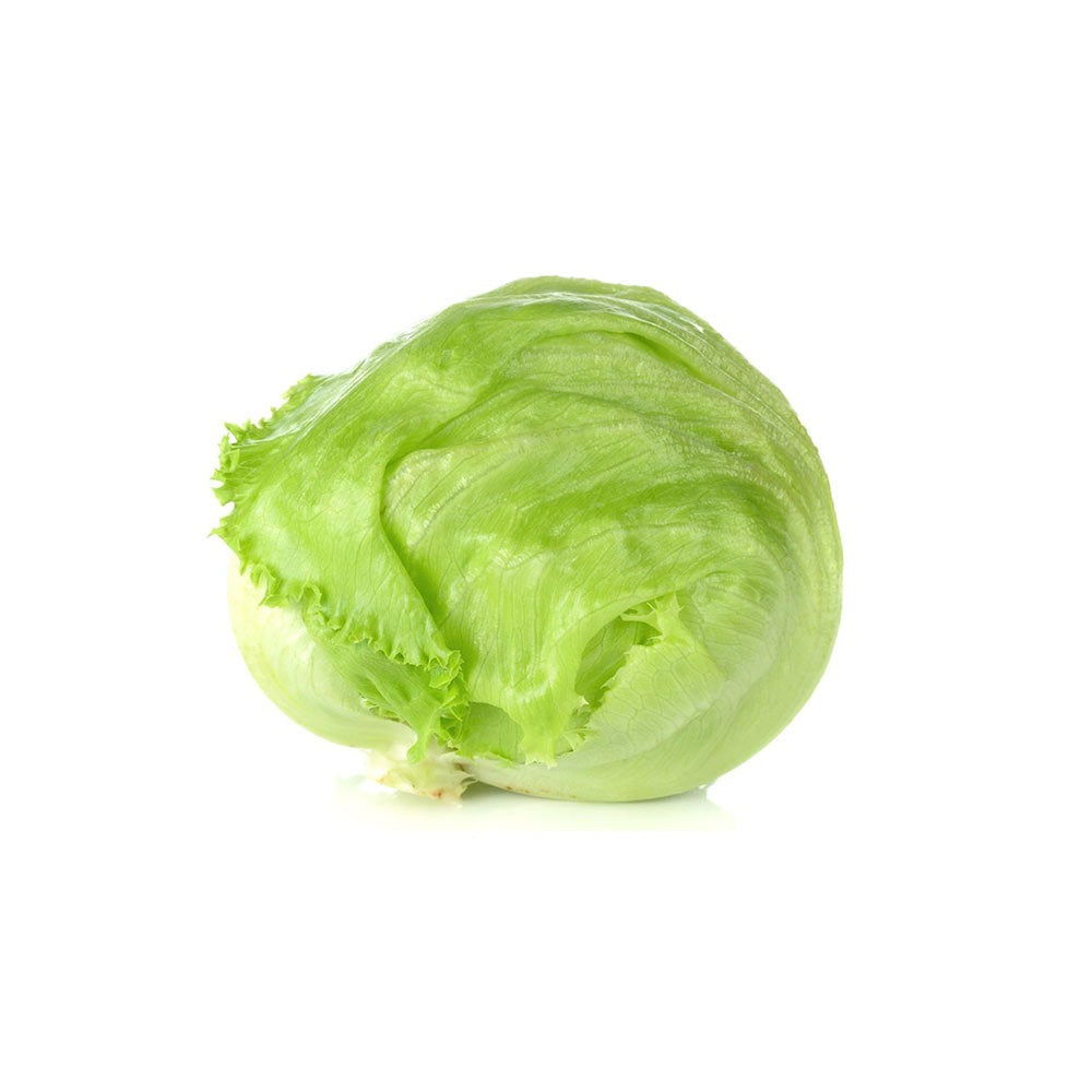 Lettuce Iceberg - Organic