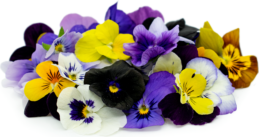 Edible Flowers