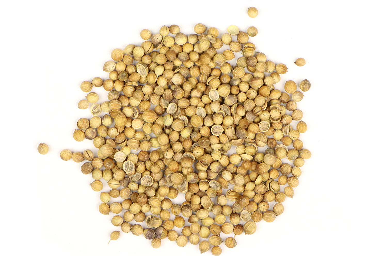 Coriander - Dried