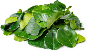 Kaffir Lime Leaves