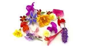 Edible Flowers