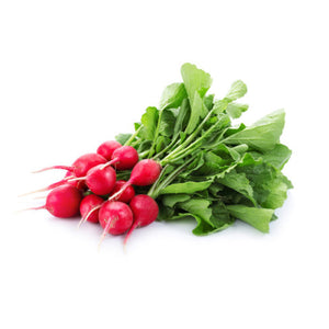 Radish Red - Imported