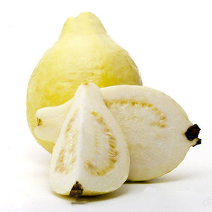Guava