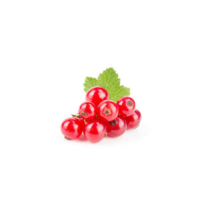 Red Currant