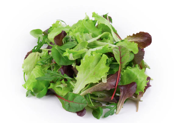 Mesclun Mix