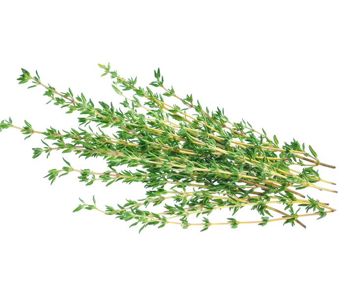 Thyme