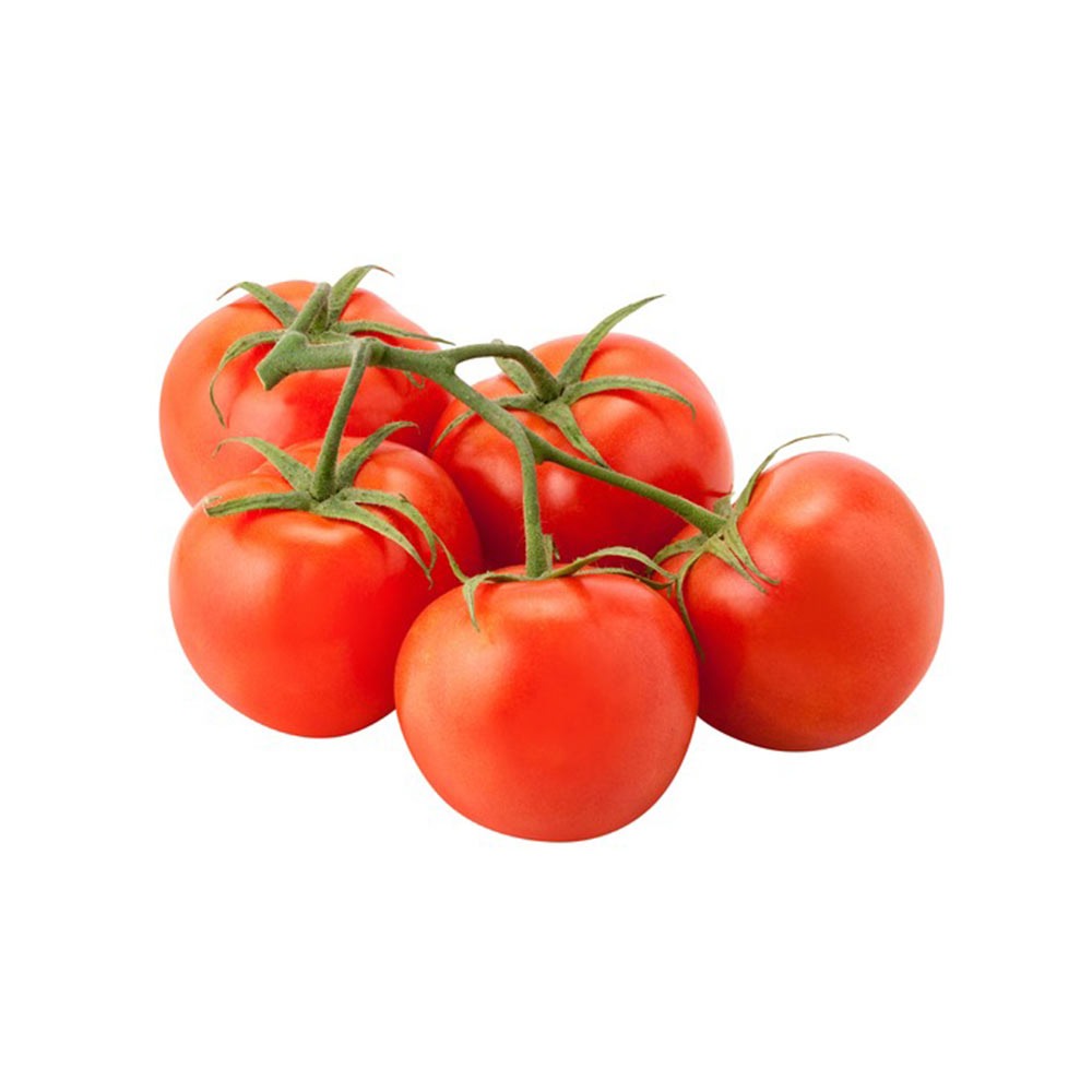 Tomato Bunch - Hydroponic