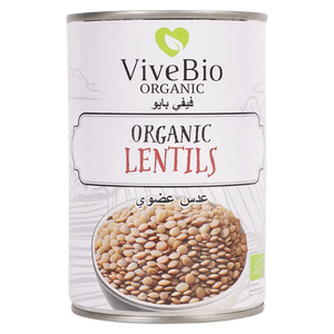 ViveBio Lentil  - Organic