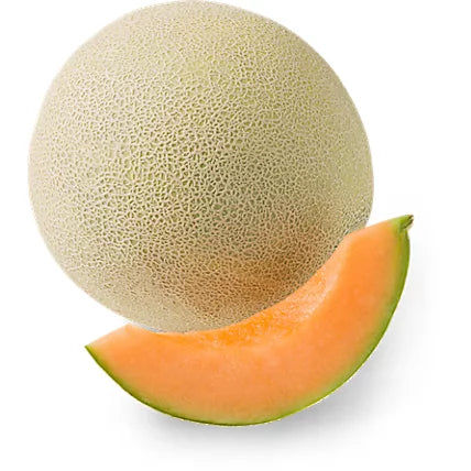 Cantaloupe
