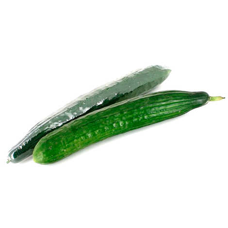 Cucumber - English Long