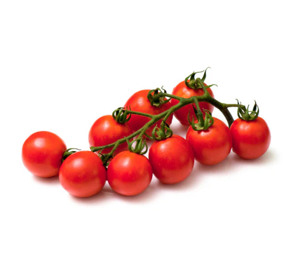 Cherry Tomato on vine