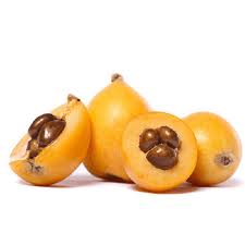 Loquat