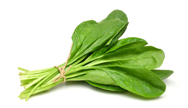 Spinach - Organic