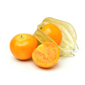 Physalis