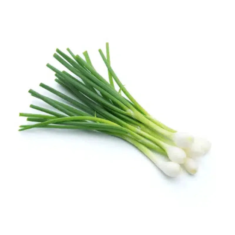 Spring Onion - Organic