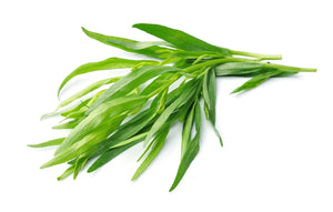 Tarragon